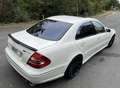 Mercedes-Benz E 55 AMG UNICA IN ITALIA-ASI-CERCHI R20-TETTO-CERCHI SCOMPO - thumbnail 6
