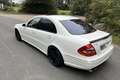 Mercedes-Benz E 55 AMG UNICA IN ITALIA-ASI-CERCHI R20-TETTO-CERCHI SCOMPO - thumbnail 4