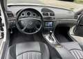 Mercedes-Benz E 55 AMG UNICA IN ITALIA-ASI-CERCHI R20-TETTO-CERCHI SCOMPO - thumbnail 9