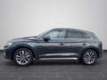 Audi Q5 35 TDI advanced S tronic MATRIX AHK KAMERA Grau - thumbnail 7
