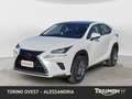 Lexus NX 300h 300h 2.5 Premium 4wd cvt Bianco - thumbnail 1