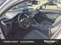 Lexus NX 300h 300h 2.5 Premium 4wd cvt Bianco - thumbnail 6