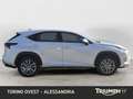 Lexus NX 300h 300h 2.5 Premium 4wd cvt Bianco - thumbnail 5