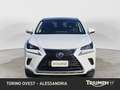 Lexus NX 300h 300h 2.5 Premium 4wd cvt Bianco - thumbnail 2
