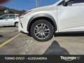 Lexus NX 300h 300h 2.5 Premium 4wd cvt Bianco - thumbnail 13