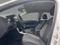 Volkswagen Polo 1.0 TSI Life DSG LED Kamera Sitzhzg Blanc - thumbnail 9