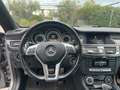 Mercedes-Benz CLS 350 CLS Berlina - C218 2011 cdi be auto Gris - thumbnail 10