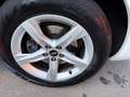 Audi Q5 35 TDI/S-LINE/AUTOM/LEDER/NAVI/VIRTUAL/I HAND Weiß - thumbnail 15