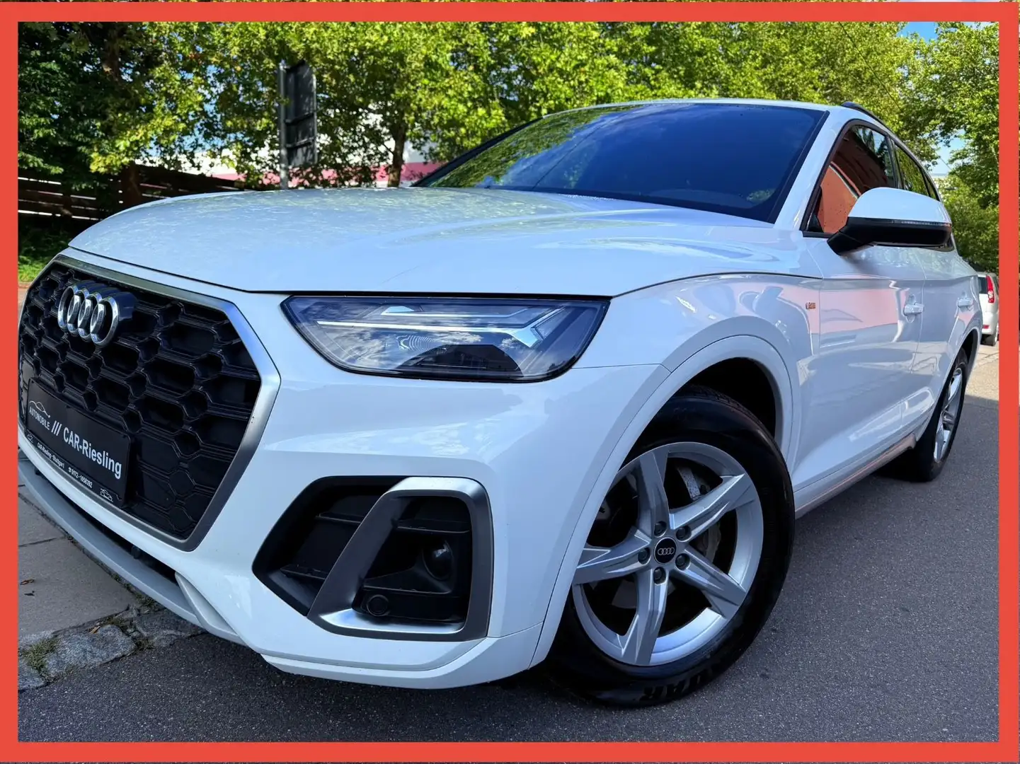 Audi Q5 35 TDI/S-LINE/AUTOM/LEDER/NAVI/VIRTUAL/I HAND Weiß - 1