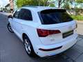 Audi Q5 35 TDI/S-LINE/AUTOM/LEDER/NAVI/VIRTUAL/I HAND Weiß - thumbnail 6