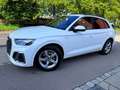 Audi Q5 35 TDI/S-LINE/AUTOM/LEDER/NAVI/VIRTUAL/I HAND Weiß - thumbnail 24