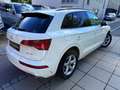 Audi Q5 35 TDI/S-LINE/AUTOM/LEDER/NAVI/VIRTUAL/I HAND Weiß - thumbnail 8