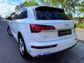 Audi Q5 35 TDI/S-LINE/AUTOM/LEDER/NAVI/VIRTUAL/I HAND Weiß - thumbnail 5