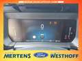Ford Tourneo Courier Active 1.0 EcoBoost EU6d Blau - thumbnail 8