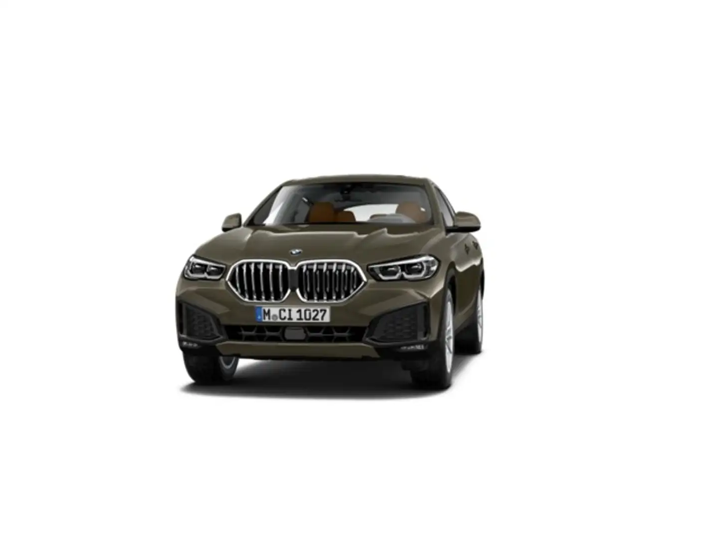 BMW X6 xDrive 40dA Braun - 1