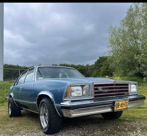 Classic 5.0 v8