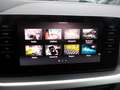 Skoda Kamiq Kamiq 1.0 TSI DSG Ambition NAVI-CAMERA-CARPLAY-DAB Noir - thumbnail 14