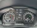 Skoda Scala 1.0 DSG - Ambition Spur Temp LED AHK Rojo - thumbnail 11
