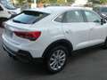 Audi Bianco - thumbnail 4