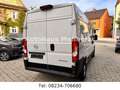 Opel Movano Kasten H2 35 L2H2 BlueHDI 140 Weiß - thumbnail 5