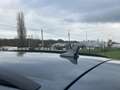Audi Q8 phase II Quattro 60 TFSI BVA 490 Black Line Grau - thumbnail 14