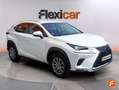 Lexus NX 300 300h Business Navigation 2WD Blanco - thumbnail 8