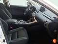 Lexus NX 300 300h Business Navigation 2WD Blanco - thumbnail 10