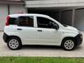 Fiat Panda van 1.3 mjt Pop VAN 5p MOTORE NUOVO IVA COMPRESA Wit - thumbnail 14
