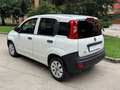 Fiat Panda van 1.3 mjt Pop VAN 5p MOTORE NUOVO IVA COMPRESA Wit - thumbnail 3