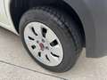 Fiat Panda van 1.3 mjt Pop VAN 5p MOTORE NUOVO IVA COMPRESA Wit - thumbnail 9