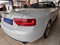 Audi A5 Cabriolet quattro S-Line 2.0 Auto Leder B&O Weiß - thumbnail 15