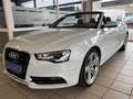 Audi A5 Cabriolet quattro S-Line 2.0 Auto Leder B&O Weiß - thumbnail 6