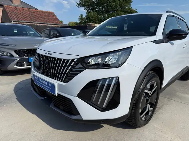 Peugeot 2008 view 10