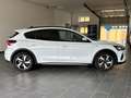 Ford Focus 1.0 EcoBoost MHEV Active*NAVI*iACC*KAMERA Weiß - thumbnail 8