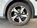 Ford Focus 1.0 EcoBoost MHEV Active*NAVI*iACC*KAMERA Weiß - thumbnail 9