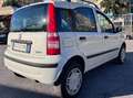 Fiat Panda Panda 1.2 natural power Dynamic Bianco - thumbnail 9
