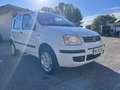 Fiat Panda Panda 1.2 natural power Dynamic Bianco - thumbnail 2