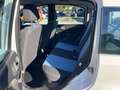 Fiat Panda Panda 1.2 natural power Dynamic Bianco - thumbnail 5
