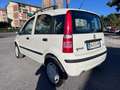 Fiat Panda Panda 1.2 natural power Dynamic Bianco - thumbnail 8