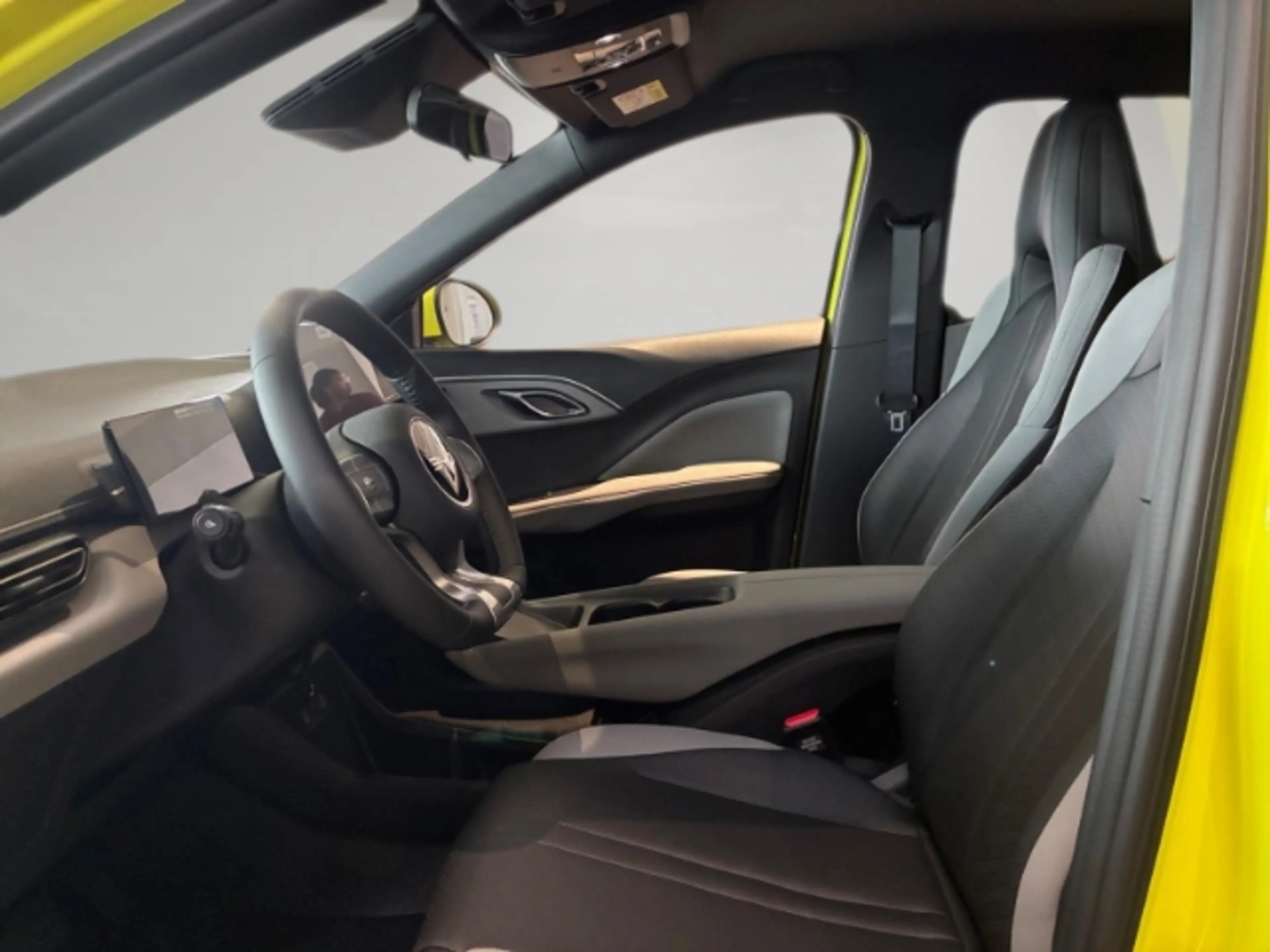 BYD Dolphin 30 kWh Active Klima/PDC Hinten/Rückfahrkamera/Carp — photo 8