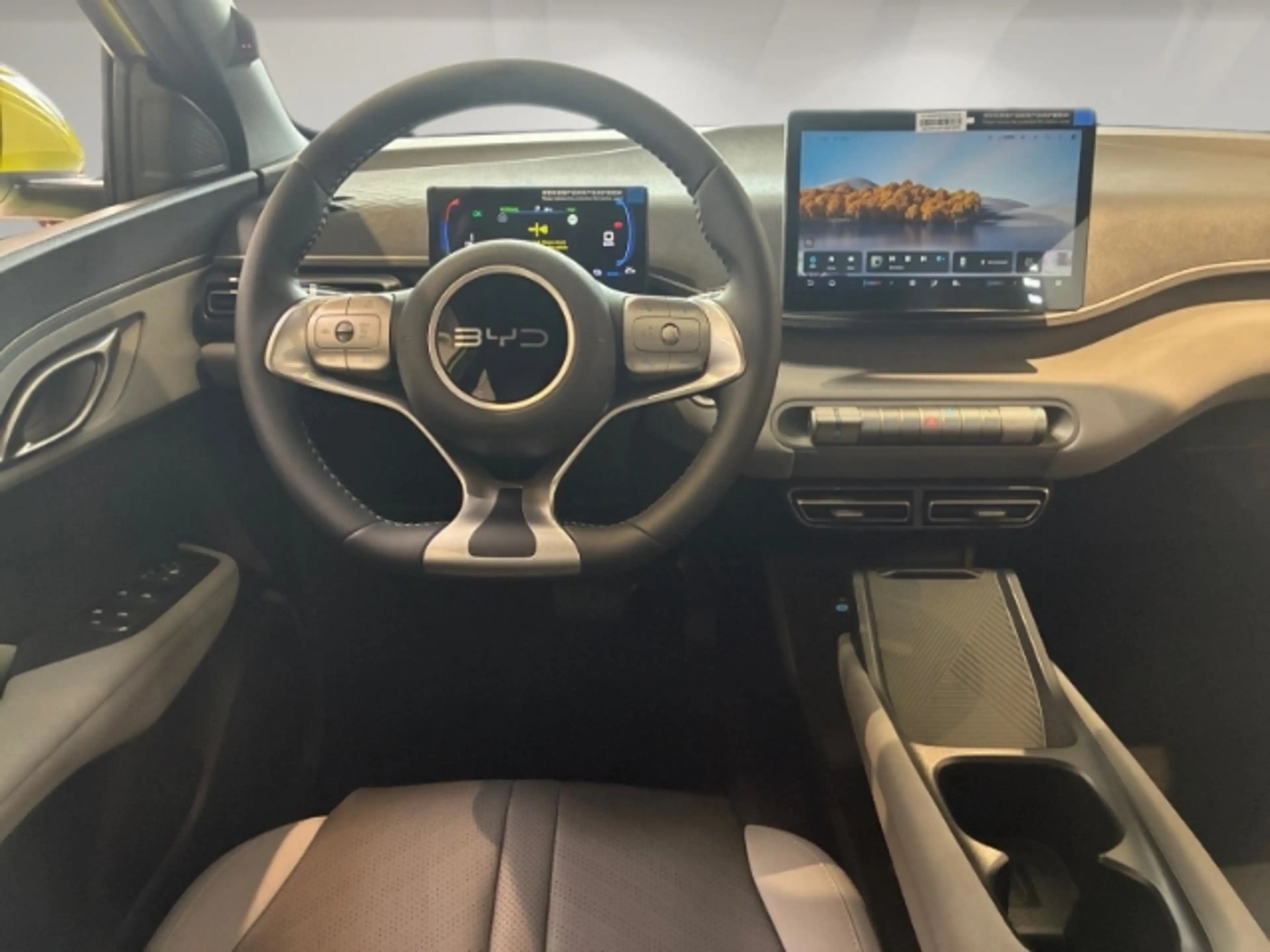 BYD Dolphin 30 kWh Active Klima/PDC Hinten/Rückfahrkamera/Carp — photo 11