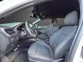 Ford Focus Turnier ST-Line Automatik LED B&O AHK NAVI Wit - thumbnail 9