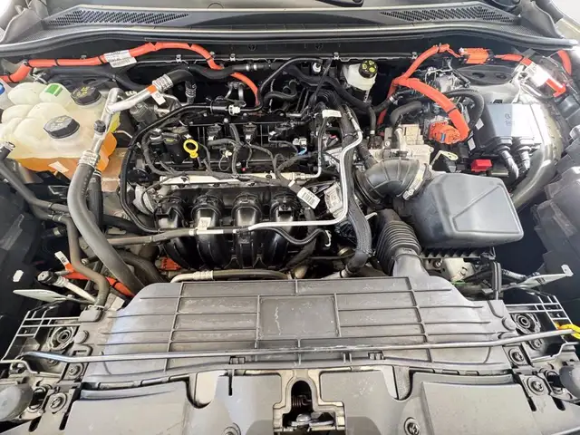 Ford Kuga view 13