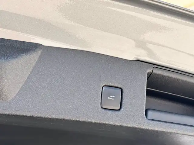 Ford Kuga view 12