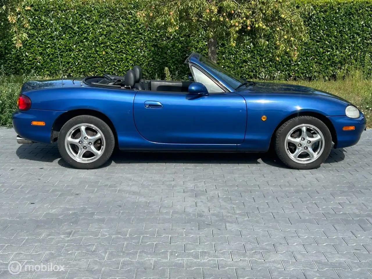 Mazda MX-5 1.8i 10th Anniversary, foto 6