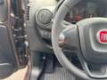 Fiat Qubo Qubo 1.3 mjt Trekking s N1 Marrone - thumbnail 12
