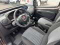 Fiat Qubo Qubo 1.3 mjt Trekking s N1 Marrone - thumbnail 9