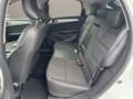 Renault Arkana 1.6 hybrid Intens E-Tech 145cv NEOPATENTATI Weiß - thumbnail 12