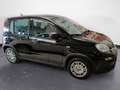 Fiat Panda 1.0 70cv Hybrid PANDA Nero - thumbnail 8