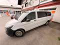 Mercedes-Benz Vito Vito Tourer Family 114 CDI extralang 4x4 Aut. Tourer Family Weiß - thumbnail 2